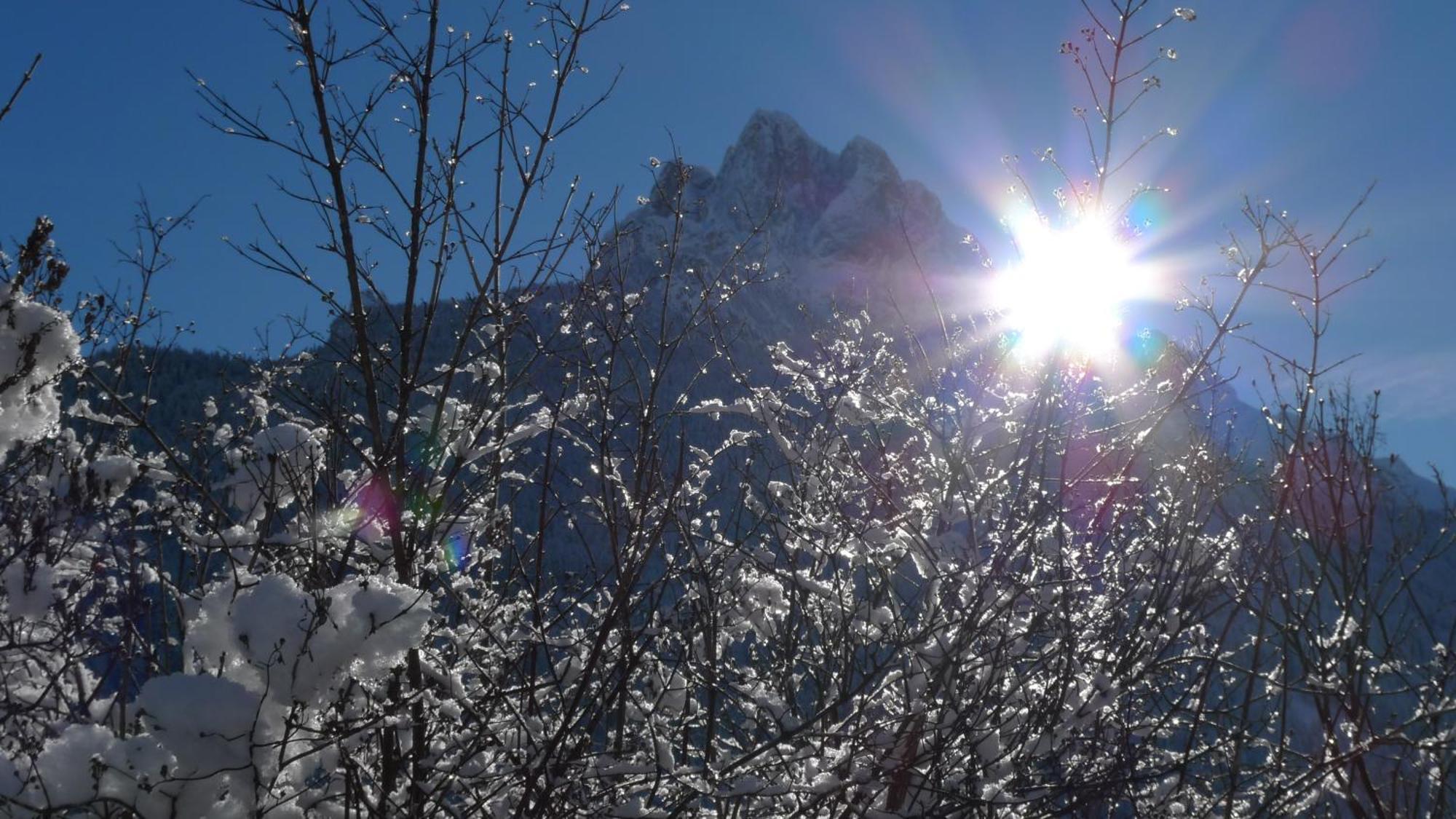 Villa Gemmy Pozza di Fassa Buitenkant foto