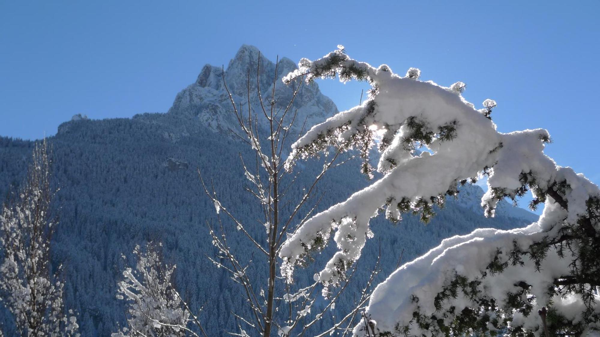 Villa Gemmy Pozza di Fassa Buitenkant foto